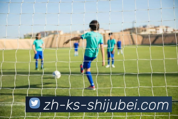 多媒体互动体验